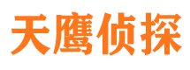 冷湖市侦探公司